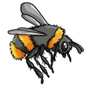 bumblebee-clipart-a-bee-with-black-and-yellow-body