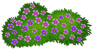 bush-clipart-a-bunch-of-purple-flowers