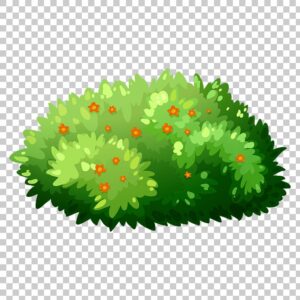 bush-clipart-a-bush-with-green-leaves-and-flowers-on-transparent-background