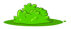 bush-clipart-a-green-plant-with-black-background