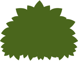 bush-clipart-a-green-tree-with-black-background