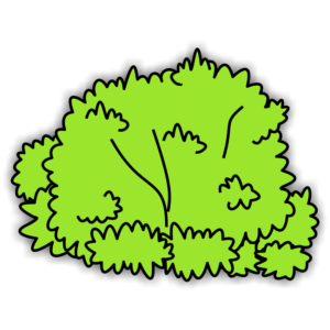 bush-clipart-a-green-tree-with-leaves
