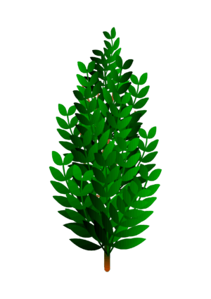 bush-clipart-a-green-tree-with-leaves-on-it