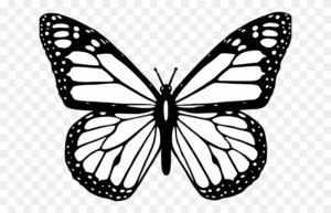 butterfly-clipart-simple-a-butterfly-silhouette-on-transparent-background