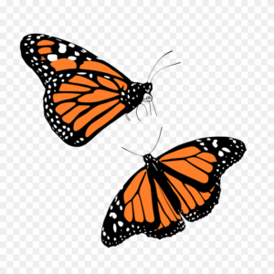 butterfly-clipart-simple-monarch-butterfly-clipart