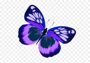 butterfly-clipart-simple-purple-butterfly-clipart