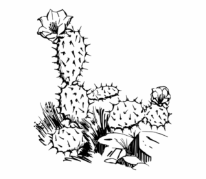cactus-clipart-black-and-white-a-cactus-two