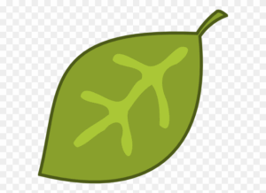 cactus-clipart-black-and-white-a-green-leaf-icon
