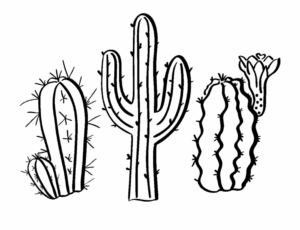 cactus-clipart-black-and-white-cactus-two