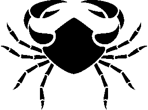 cancer-clipart-a-black-background-with-white-and-red-flower