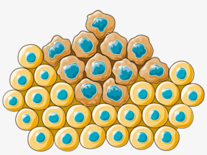 cancer-clipart-a-pile-of-blueberries