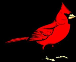 cardinal-clipart-a-red-bird-sitting-on-top-of-black-background