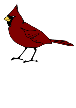 cardinal-clipart-a-red-bird-sitting-on-top-of-black-background