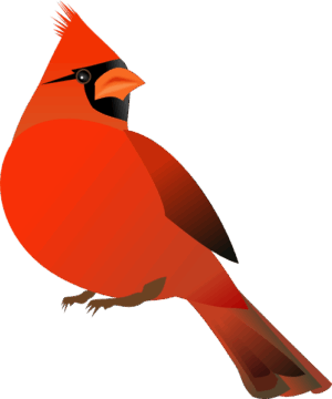 cardinal-clipart-a-red-bird-with-black-background