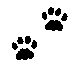 cat-paw-clipart-a-black-and-white-photo-of-flower