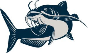 catfish-clipart-a-fish-with-big-mouth