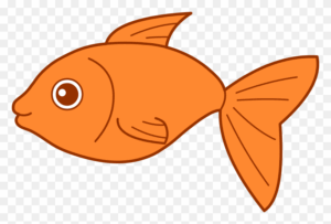 catfish-clipart-a-goldfish-fish-with-big-eye