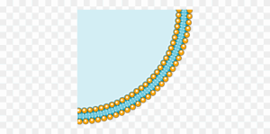 cell-membrane-clipart-a-blue-and-yellow-line-with-white-background