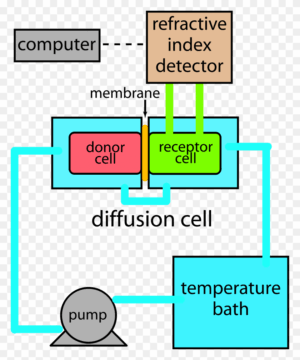 cell-membrane-clipart-a-diagram-of-computer-circuit-with