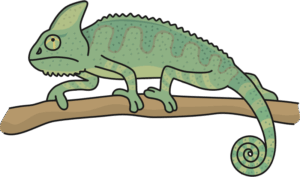 chameleon-clipart-a-chamel-cha