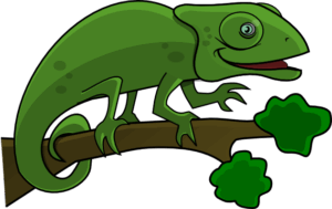 chameleon-clipart-a-green-chamel-on-branch-two