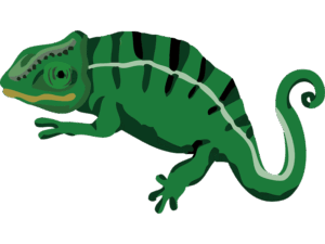 chameleon-clipart-a-green-lizard-with-black-background