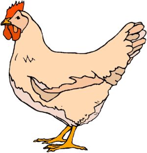 chick-clipart-a-chicken-clipart
