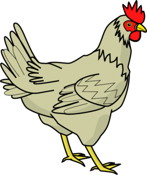 chick-clipart-a-chicken-with-red-head-and-yellow-legs