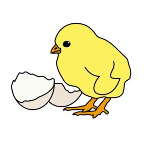 chick-clipart-a-yellow-chick-with-broken-egg