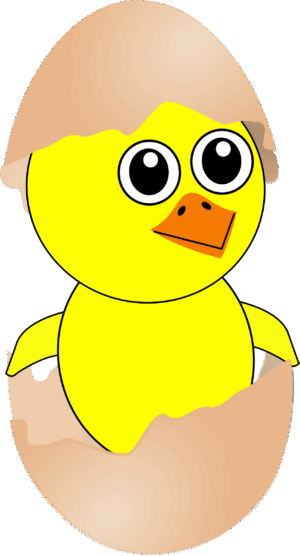 chick-clipart-a-yellow-duckling-in-an-egg-shell