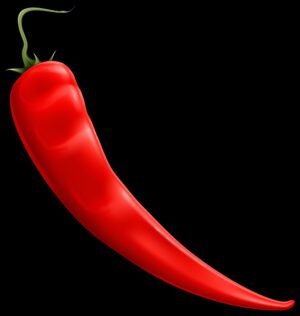 chili-clipart-a-red-pepper-on-black-background