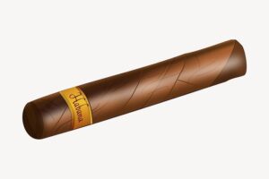 cigar-clipart-a-cigar-on-white-background