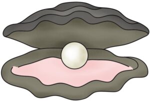clam-clipart-a-mushroom-with-egg-inside
