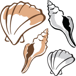 clam-clipart-a-set-of-seashells