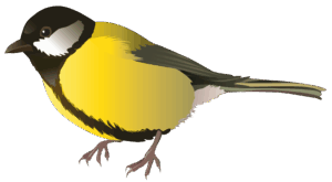 clipart-bird-clipart