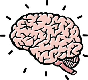 clipart-brain-a-brain-with-tooth-and