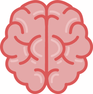 clipart-brain-a-brain-with-two-sections-one-is-pink-and-the-other-white