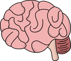 clipart-brain-a-pink-brain-with-black-background