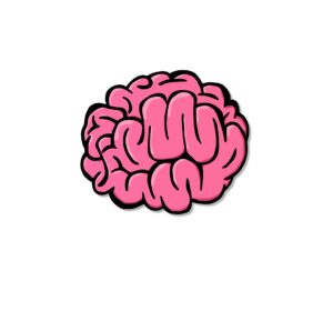 clipart-brain-a-pink-brain-with-white-background