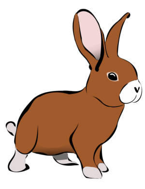 clipart-bunny-clipart-a-brown-rabbit-standing-on-black-background