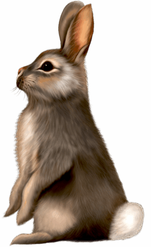 clipart-bunny-clipart-a-rabbit-sitting-down-with-its-head-turned