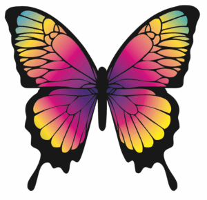 clipart-butterfly-a-butterfly-with-colorful-wings