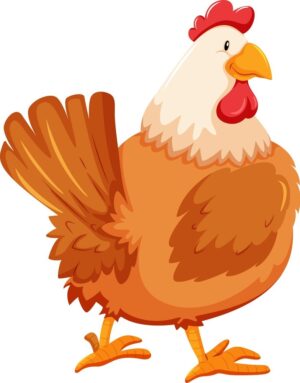 clipart-chicken-a-cartoon-chicken