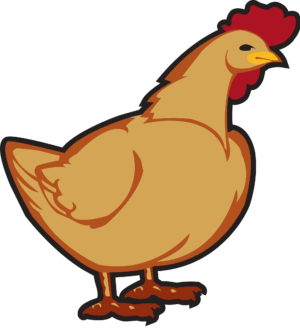 clipart-chicken-a-chicken-with-red-head-and-yellow-beak