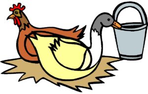 clipart-chicken-clipart-a-chicken-and-bucket-of-water
