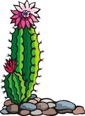 clipart-clipart-cactus-a-cactus-with-flower-on-it-s-head