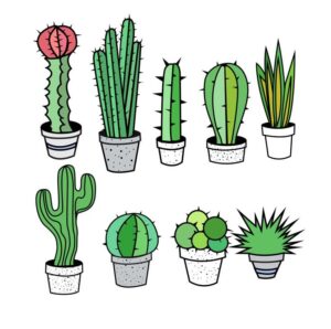 clipart-clipart-cactus-a-set-of-cactuses-in-pots
