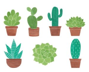 clipart-clipart-cactus-a-set-of-cactuses-in-pots-two
