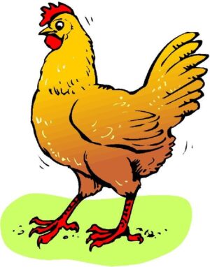 clipart-clipart-chicken-a-chicken-with-red-beak-and-yellow-legs