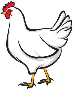 clipart-clipart-chicken-a-white-chicken-with-red-combs-and-black-tail